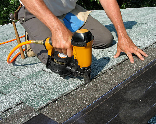Best Shingle Roofing Installation  in Wisr, NE