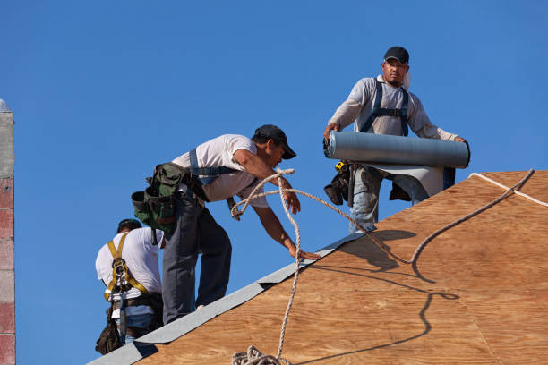 Best Commercial Roofing Services  in Wisr, NE