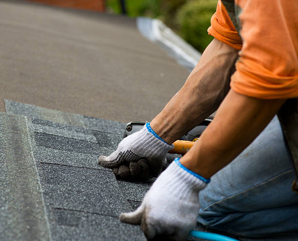 Best Roof Waterproofing Services  in Wisr, NE