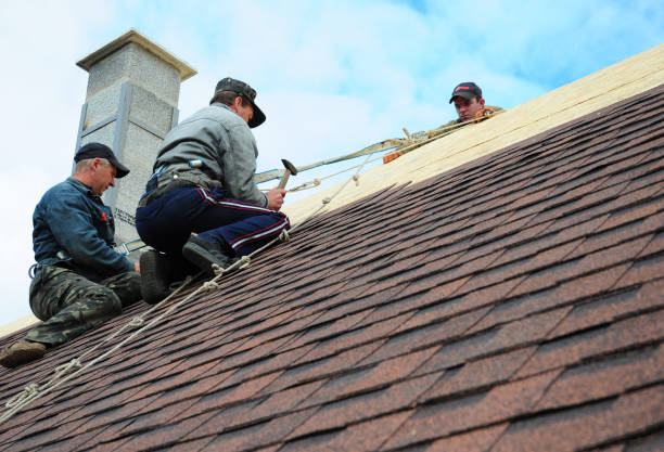 Best Storm Damage Roof Repair  in Wisr, NE